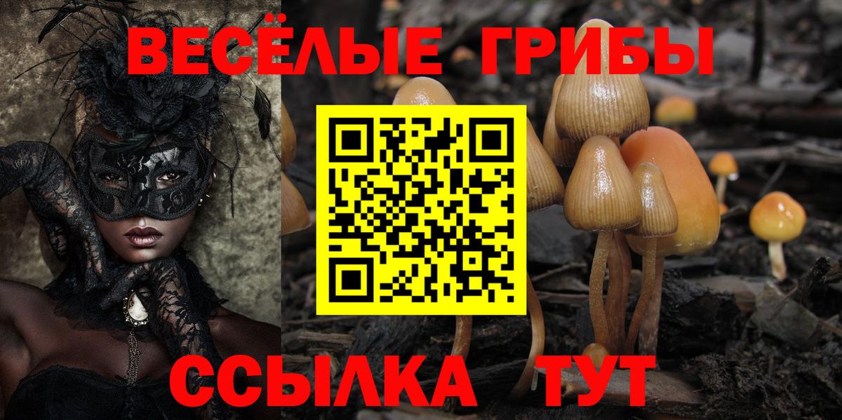 Галлюциногенные грибы ЛСД  Вход с VPN  Ногинск 